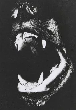 YOURTURN Prix Raisonnable UNISEX - T-shirt imprimé t shirt Col rond all 8 YOURTURN Prix Raisonnable UNISEX - T-shirt imprimé t shirt Col rond all -Tenue Fine 58bb31f561364d32afd21d152180aa2a